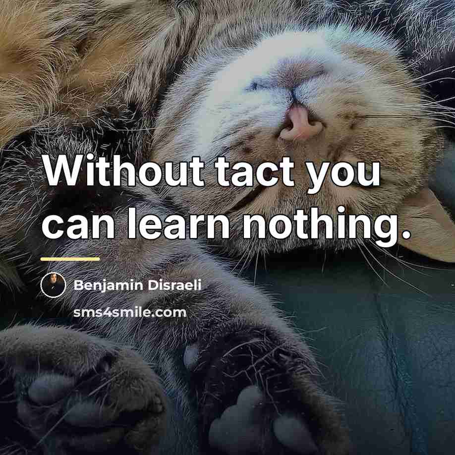 “Without tact you can learn nothing.…” quote by Benjamin Disraeli