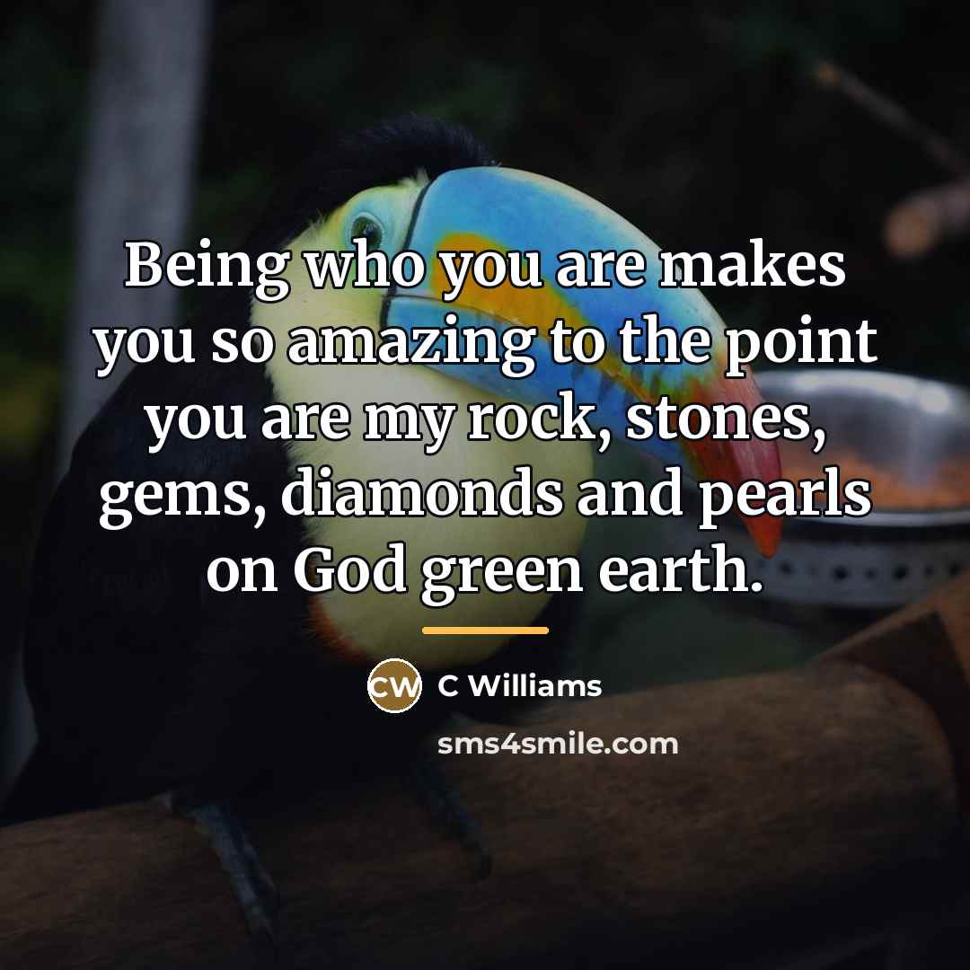 “Being who you are makes you so amazing to the…” quote by C Williams