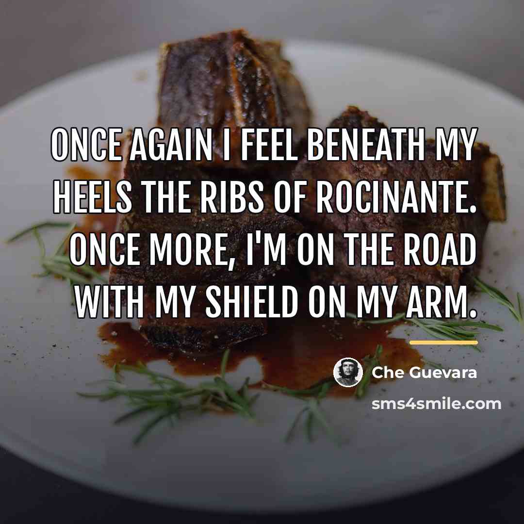 “Once again I feel beneath my heels the ribs of…” quote by Che Guevara