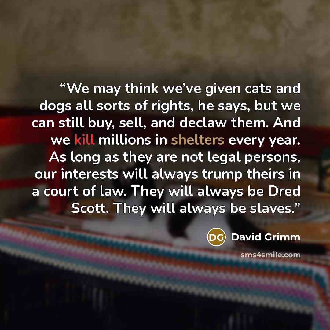 “We may think we’ve given cats and dogs all sorts of rights, he says, but we can still buy, sell, and declaw them. And we kill millions in shelters every year. As long as they are not legal persons, our interests will always trump theirs in a court of law. They will always be Dred Scott. They will…” quote by David Grimm