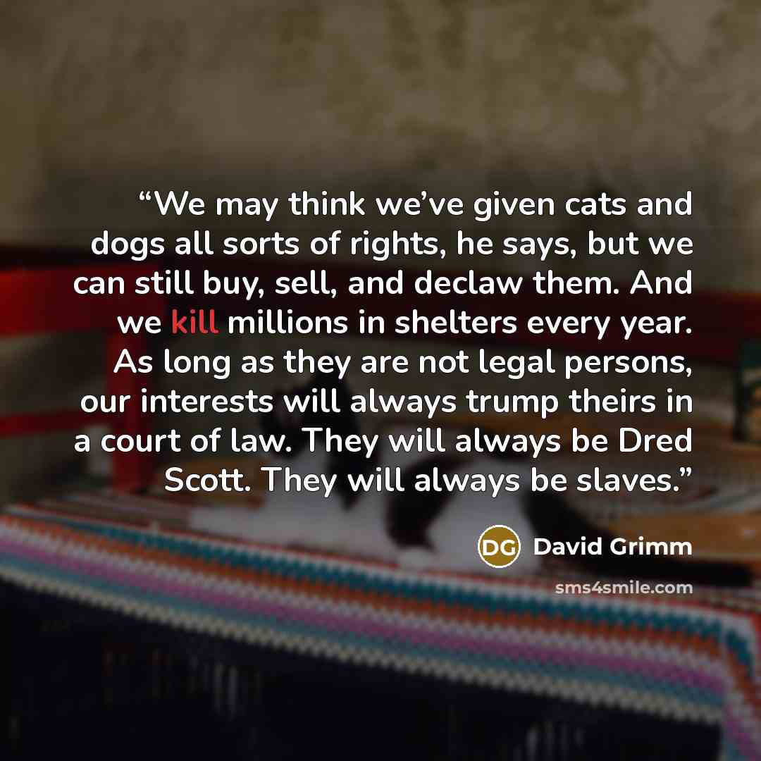“We may think we’ve given cats and dogs all sorts of rights, he says, but we can still buy, sell, and declaw them. And we kill millions in shelters every year. As long as they are not legal persons, our interests will always trump theirs in a court of law. They will always be Dred Scott. They will…” quote by David Grimm