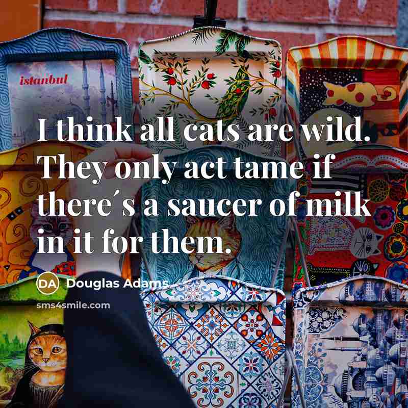 “I think all cats are wild. They only act tame…” quote by Douglas Adams