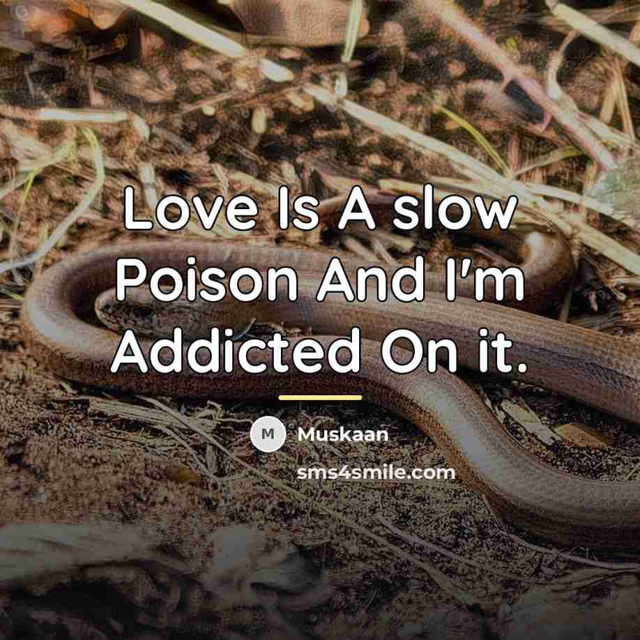 “Love Is A slow Poison And I'm Addicted On it.…” quote by Muskaan