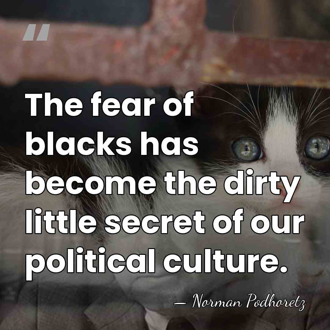The fear of blacks has become the dirty little secret of our&hellip; - Norman Podhoretz
