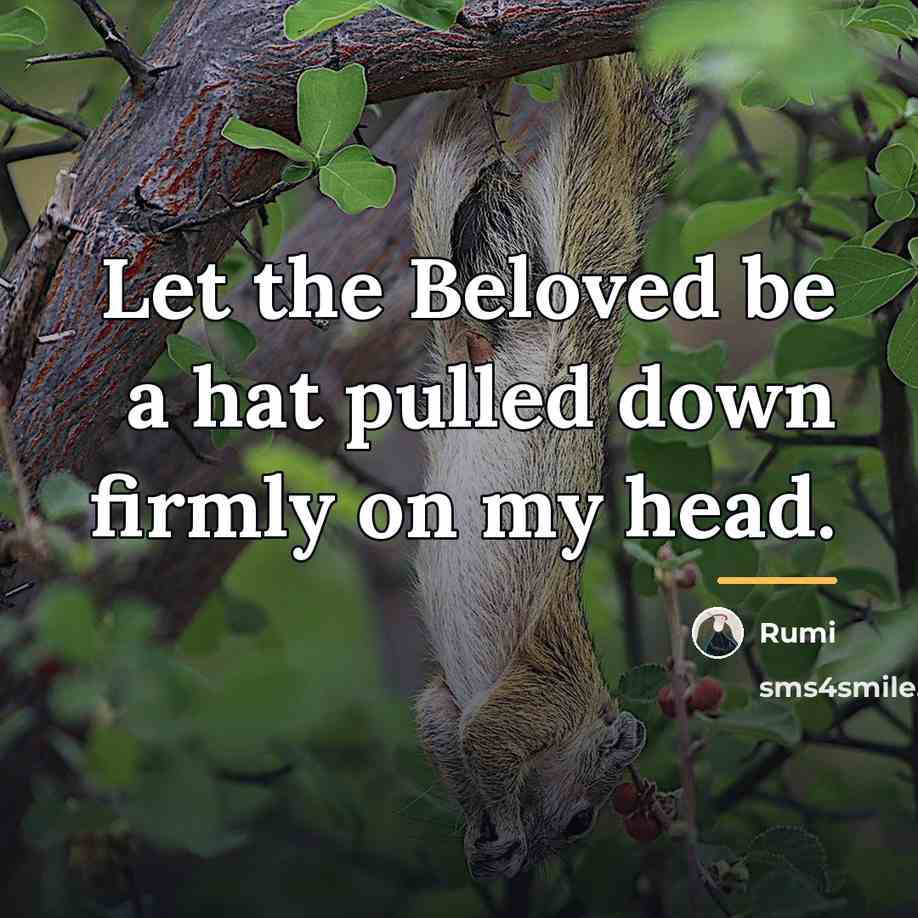 “Let the Beloved be a hat pulled down firmly on…” quote by Rumi