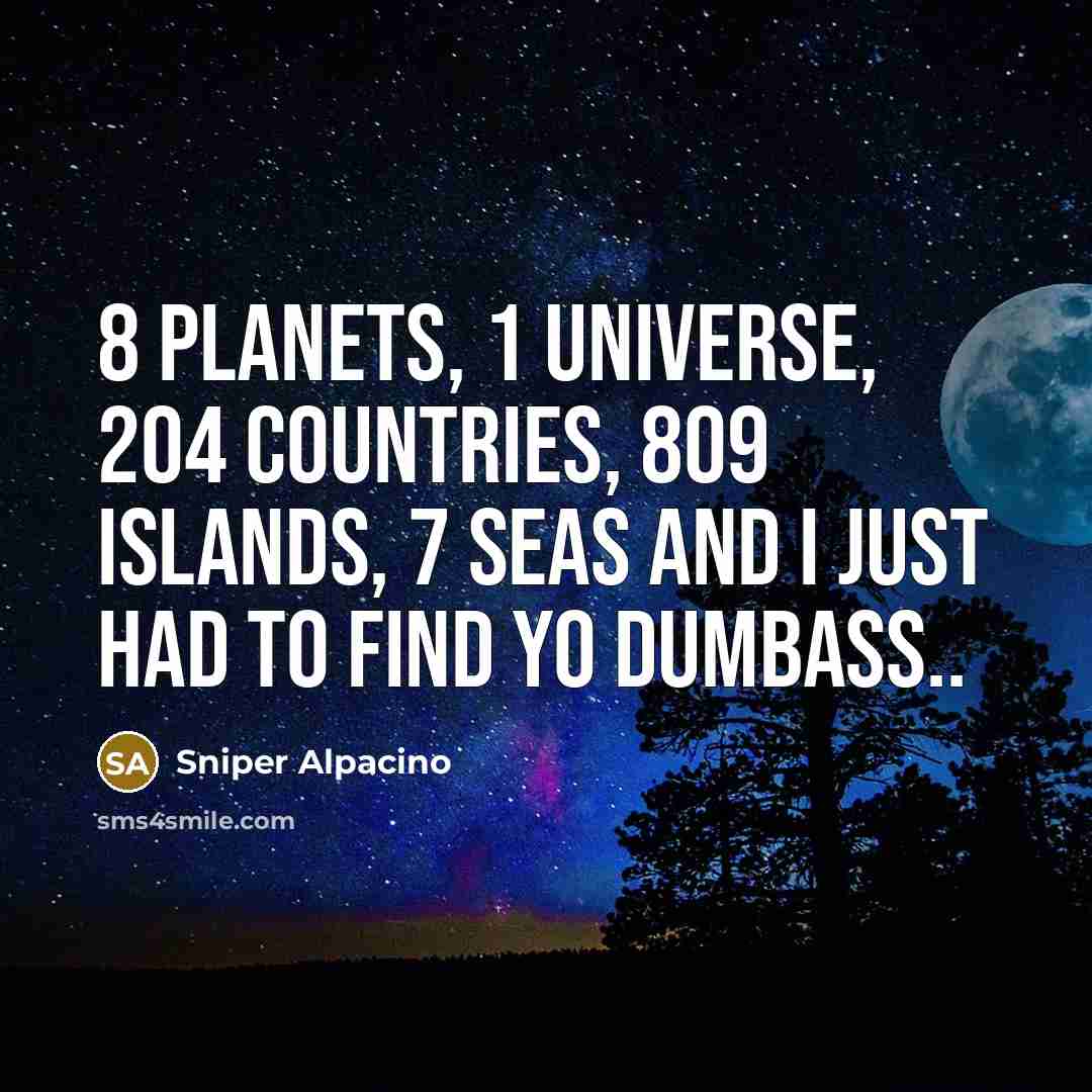 “8 planets, 1 universe, 204 countries, 809 islands, 7 seas and I just had to find yo dumbass..” quote by Sniper Alpacino