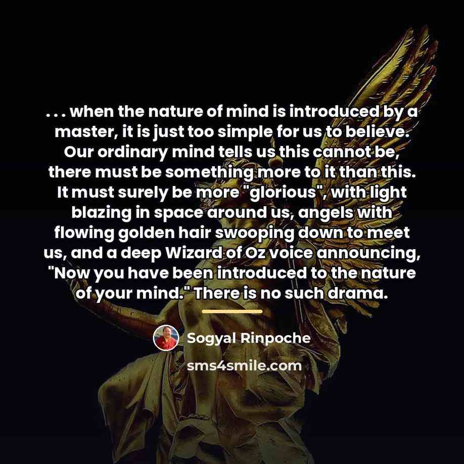 “. . . when the nature of mind is introduced…” quote by Sogyal Rinpoche