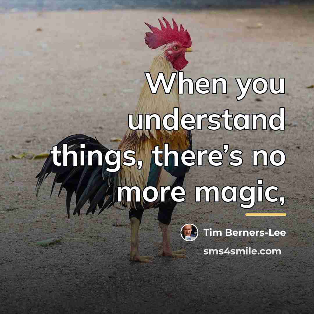 “When you understand things, there’s no more magic,…” quote by Tim Berners-Lee