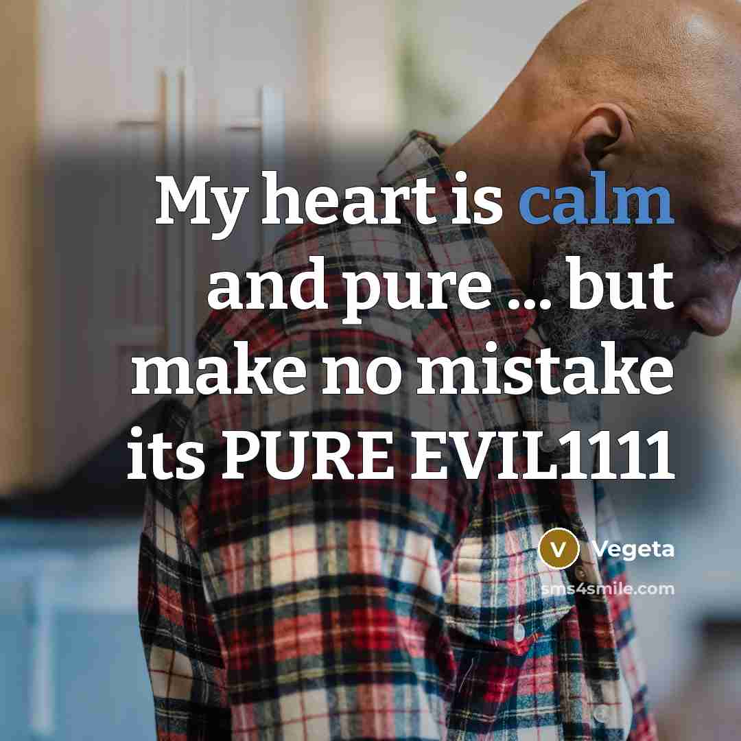 “My heart is calm and pure ... but make no…” quote by Vegeta