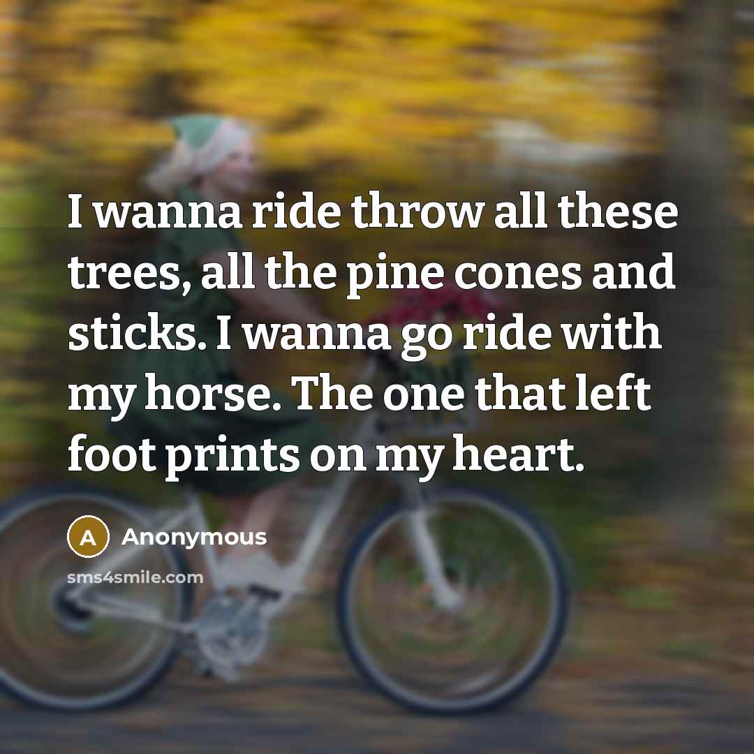 “I wanna ride throw all these trees, all the pine cones and sticks. I wanna go ride with my horse. The one that left foot prints on my heart.” quote by Anonymous