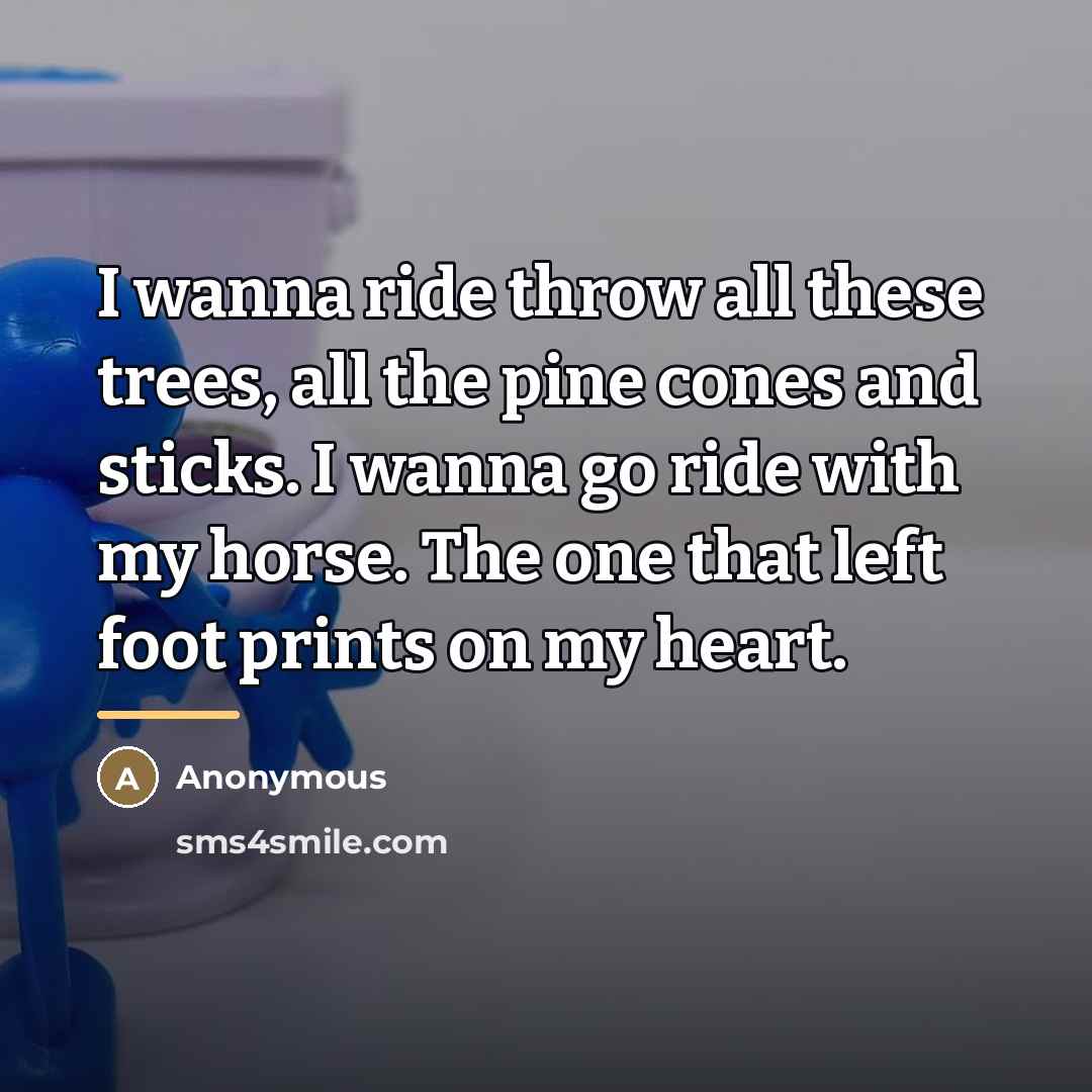 “I wanna ride throw all these trees, all the pine…” quote by Anonymous