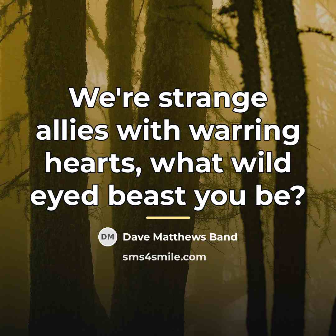 “We're strange allies with warring hearts, what wild eyed beast…” quote by Dave Matthews Band