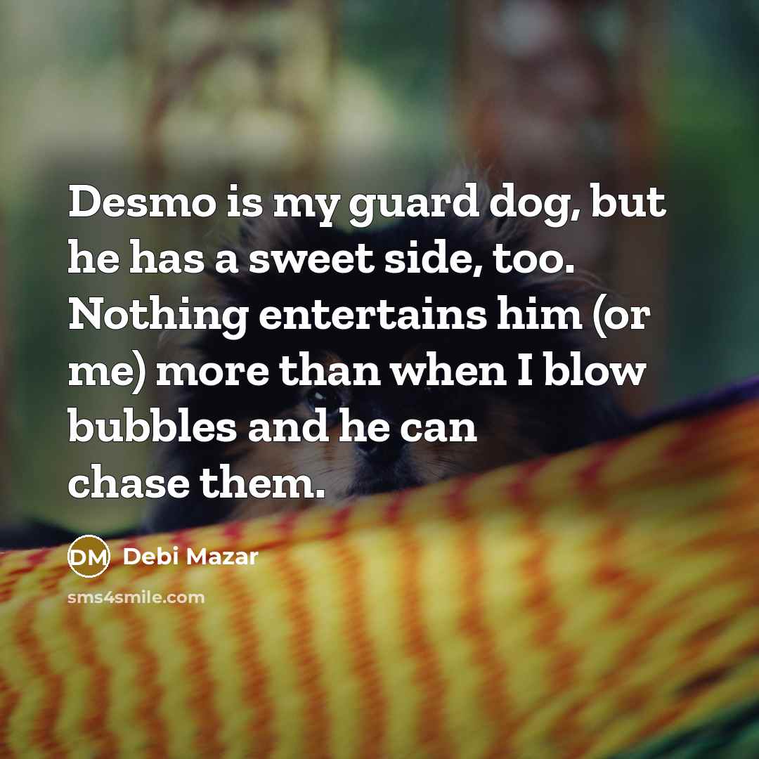 “Desmo is my guard dog, but he has a sweet…” quote by Debi Mazar
