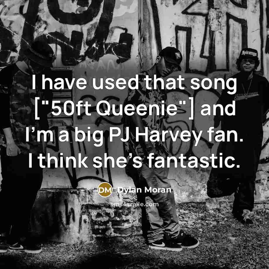 “I have used that song ["50ft Queenie"] and I'm a…” quote by Dylan Moran