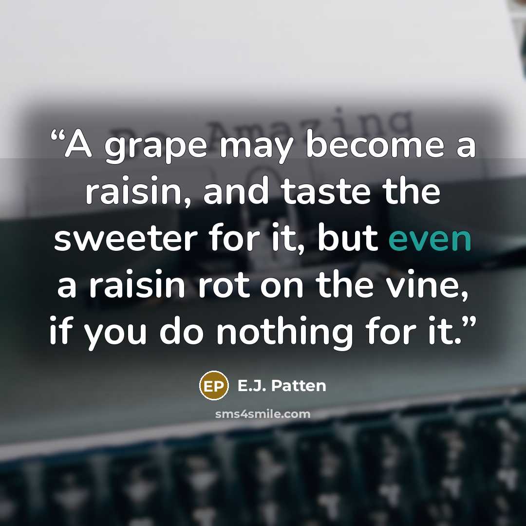 “A grape may become a raisin, and taste the sweeter for it, but even a raisin rot on the vine, if you do nothing for it.” quote by E.J. Patten