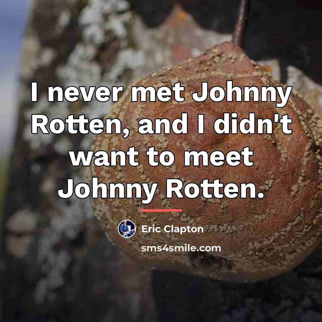 “I never met Johnny Rotten, and I didn't want to…” quote by Eric Clapton
