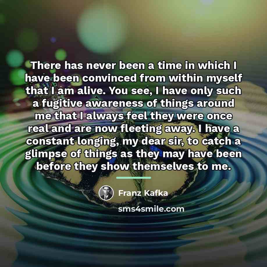 “There has never been a time in which I have…” quote by Franz Kafka