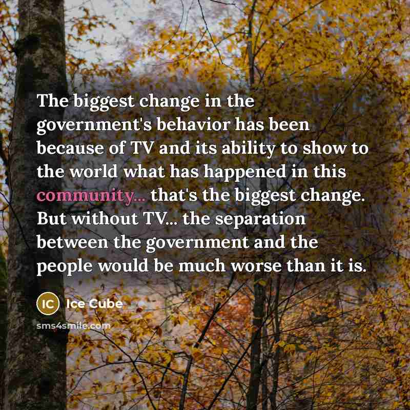 “The biggest change in the government's behavior has been because…” quote by Ice Cube