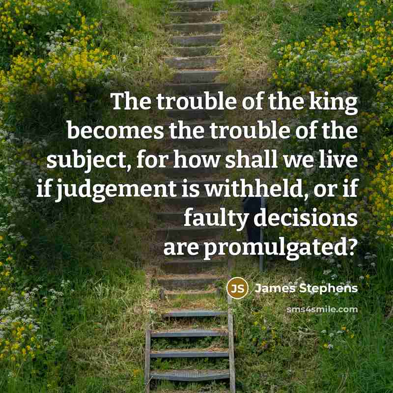 “The trouble of the king becomes the trouble of the…” quote by James Stephens