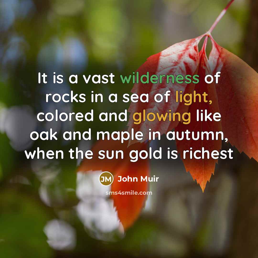“It is a vast wilderness of rocks in a sea…” quote by John Muir