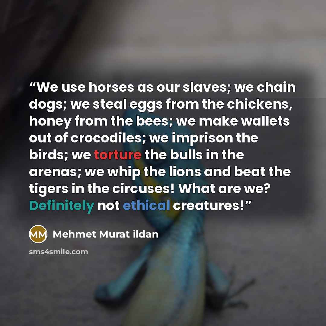 “We use horses as our slaves; we chain dogs; we steal eggs from the chickens, honey from the bees; we make wallets out of crocodiles; we imprison the birds; we torture the bulls in the arenas; we whip the lions and beat the tigers in the circuses! What are we? Definitely not ethical creatures!” quote by Mehmet Murat ildan