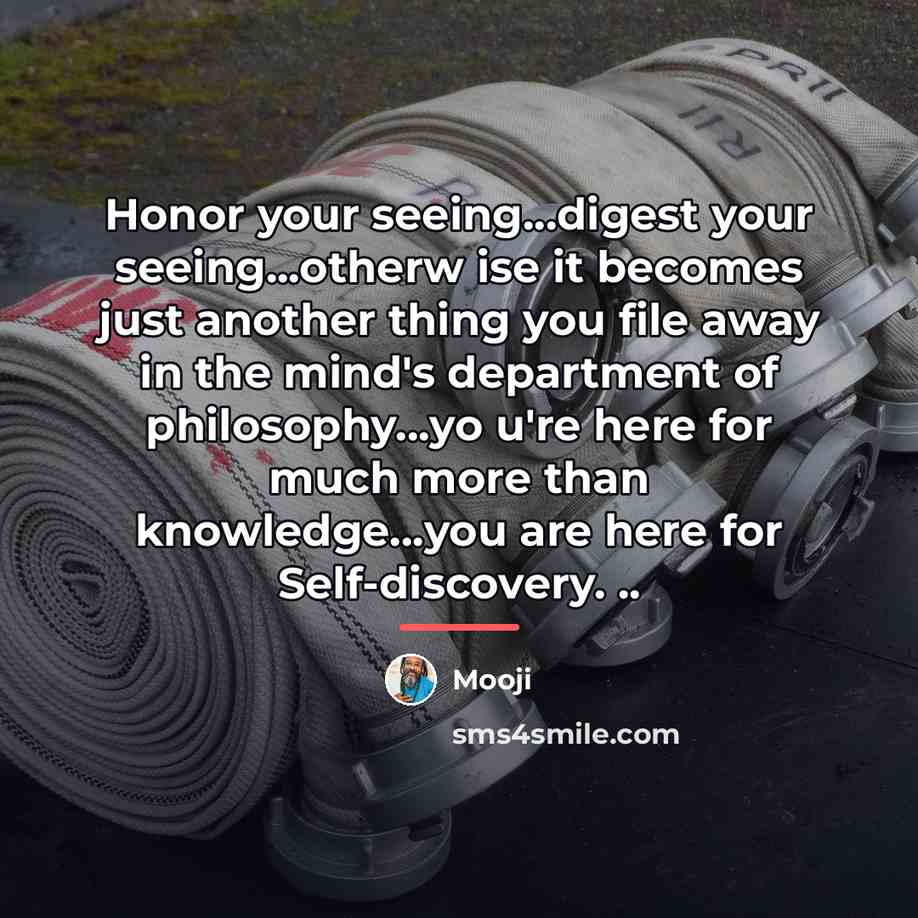 “Honor your seeing...digest your seeing...otherw ise it becomes just another…” quote by Mooji