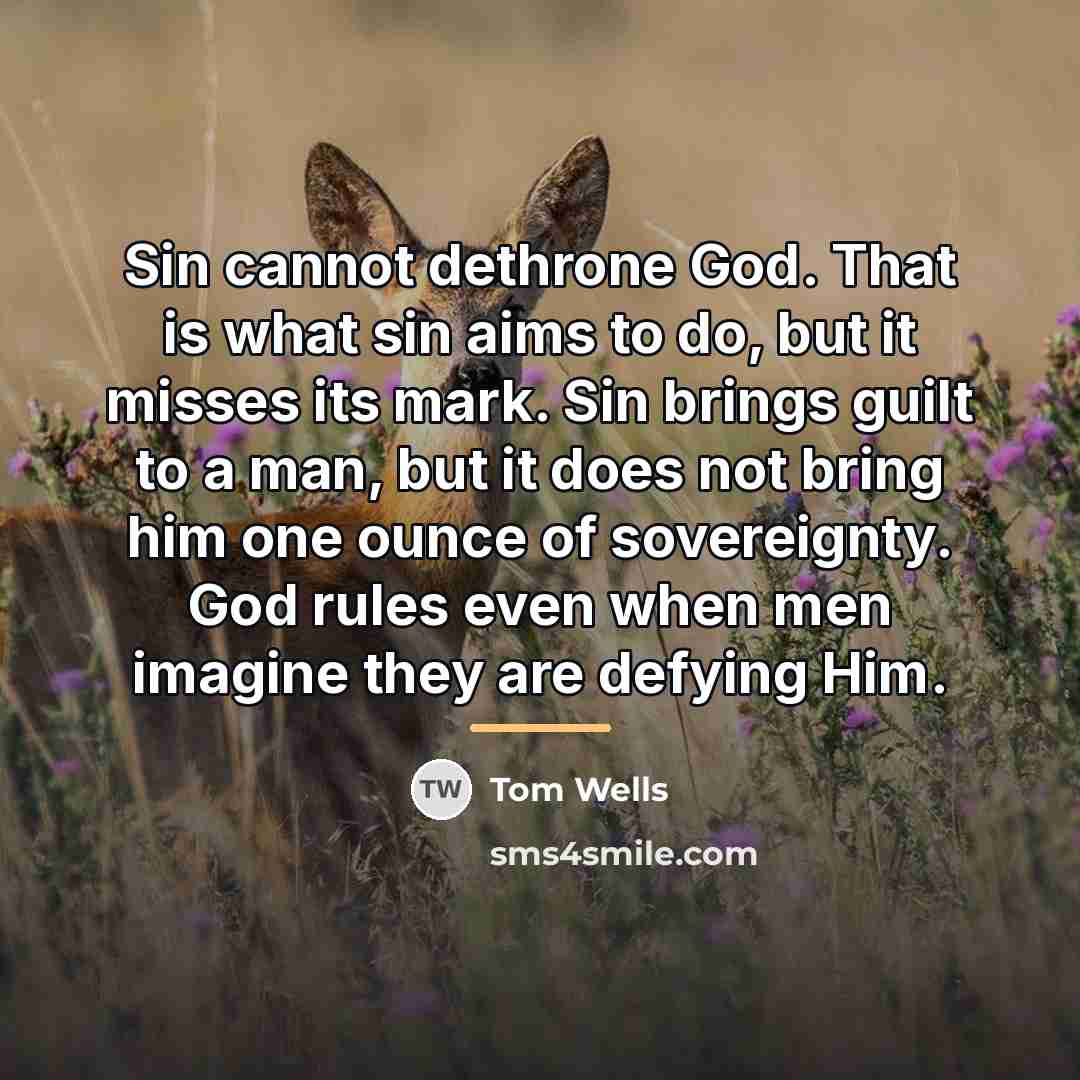 “Sin cannot dethrone God. That is what sin aims to…” quote by Tom Wells