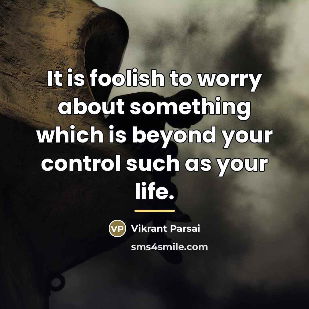 “It is foolish to worry about something which is beyond…” quote by Vikrant Parsai