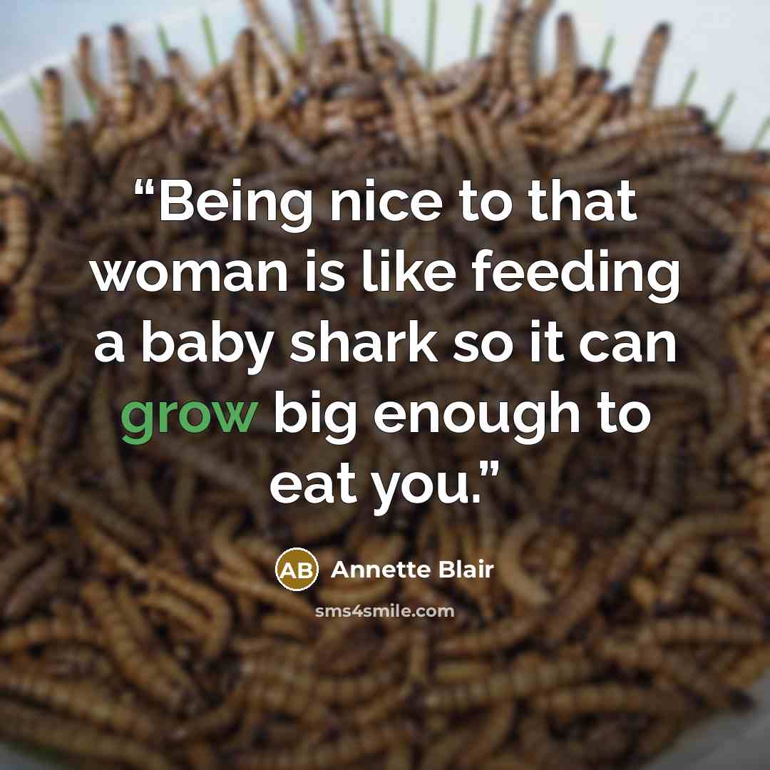 “Being nice to that woman is like feeding a baby shark so it can grow big enough to eat you.” quote by Annette Blair