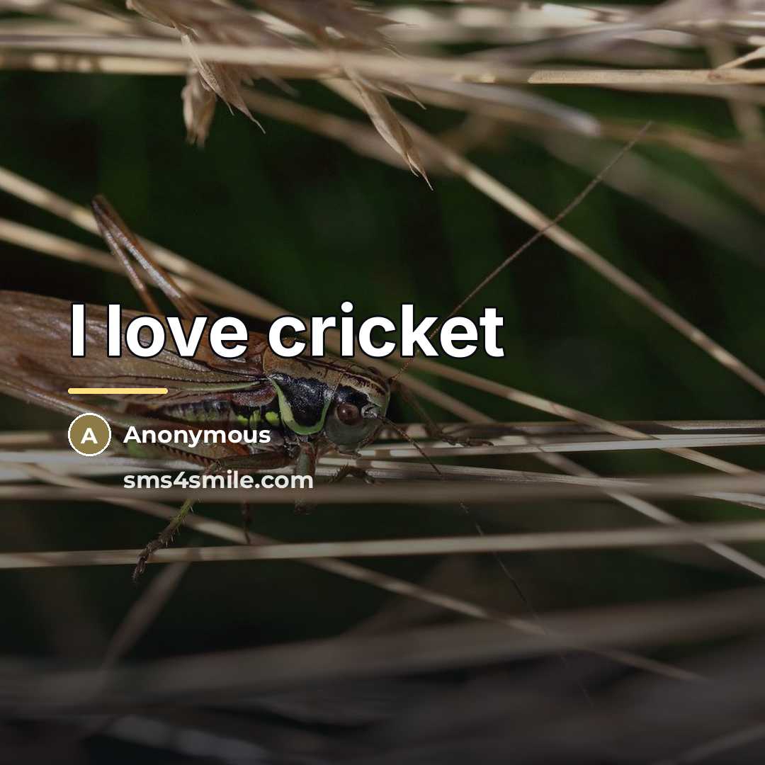 “I love cricket…” quote by Anonymous