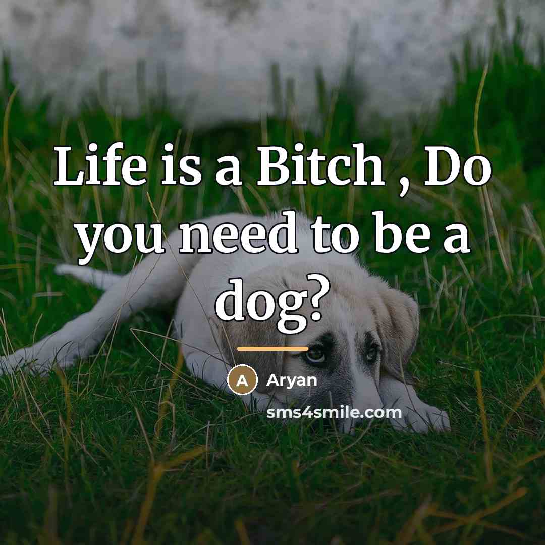 “Life is a Bitch , Do you need to be…” quote by Aryan
