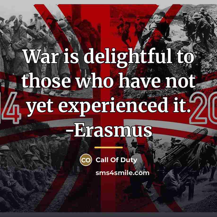 “War is delightful to those who have not yet experienced…” quote by Call Of Duty