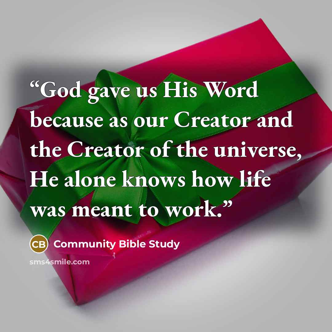 “God gave us His Word because as our Creator and the Creator of the universe, He alone knows how life was meant to work.” quote by Community Bible Study