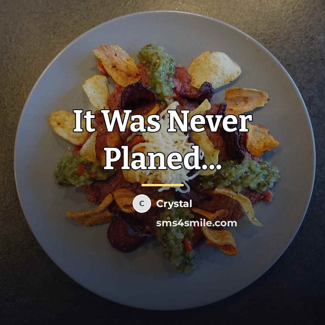 “It Was Never Planed...…” quote by Crystal