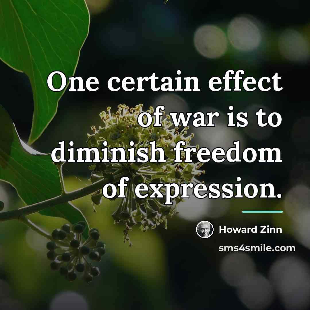 “One certain effect of war is to diminish freedom of…” quote by Howard Zinn