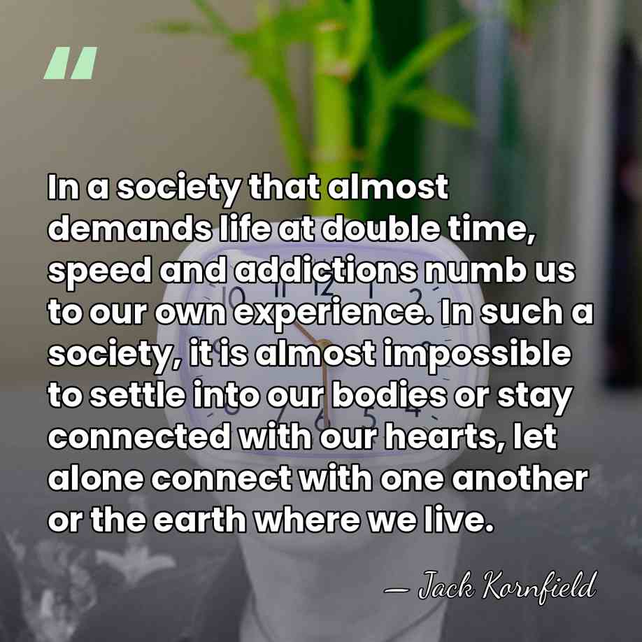 In a society that almost demands life at double time, speed and&hellip; - Jack Kornfield
