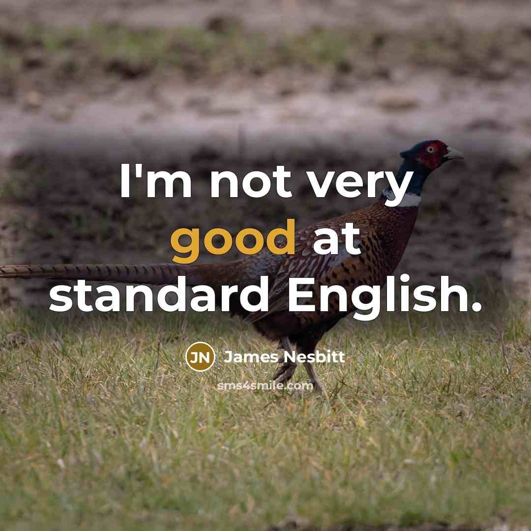“I'm not very good at standard English.…” quote by James Nesbitt