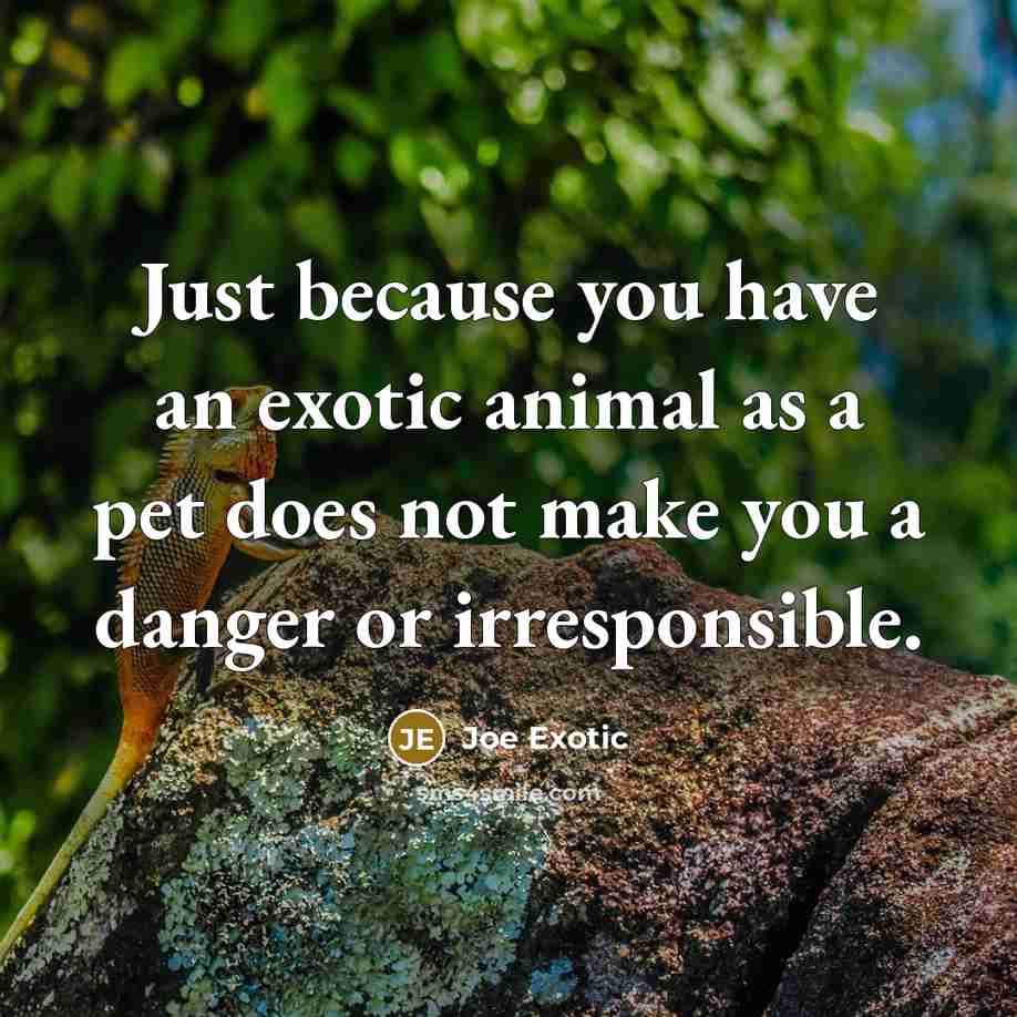 “Just because you have an exotic animal as a pet…” quote by Joe Exotic