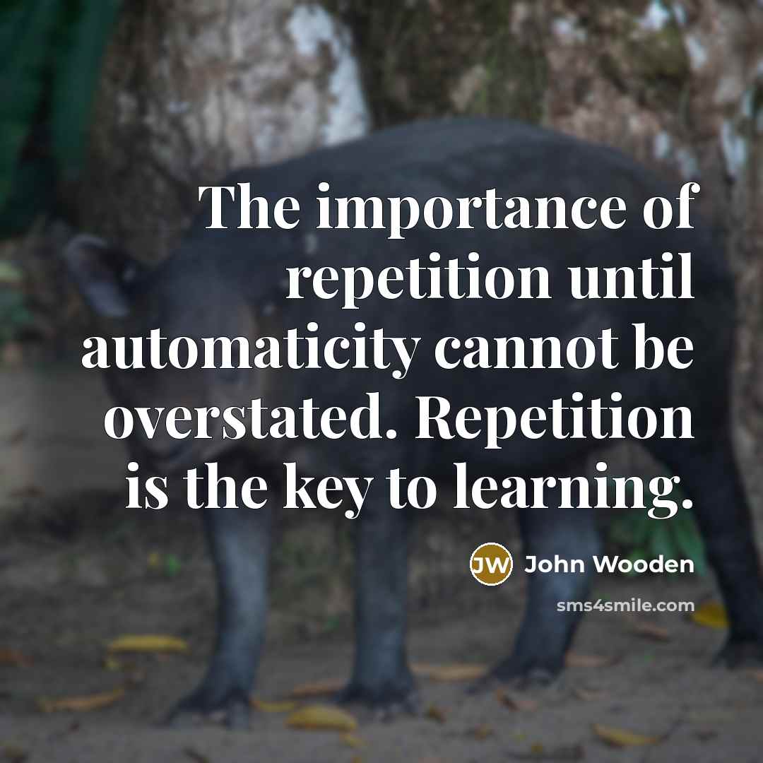 “The importance of repetition until automaticity cannot be overstated. Repetition…” quote by John Wooden
