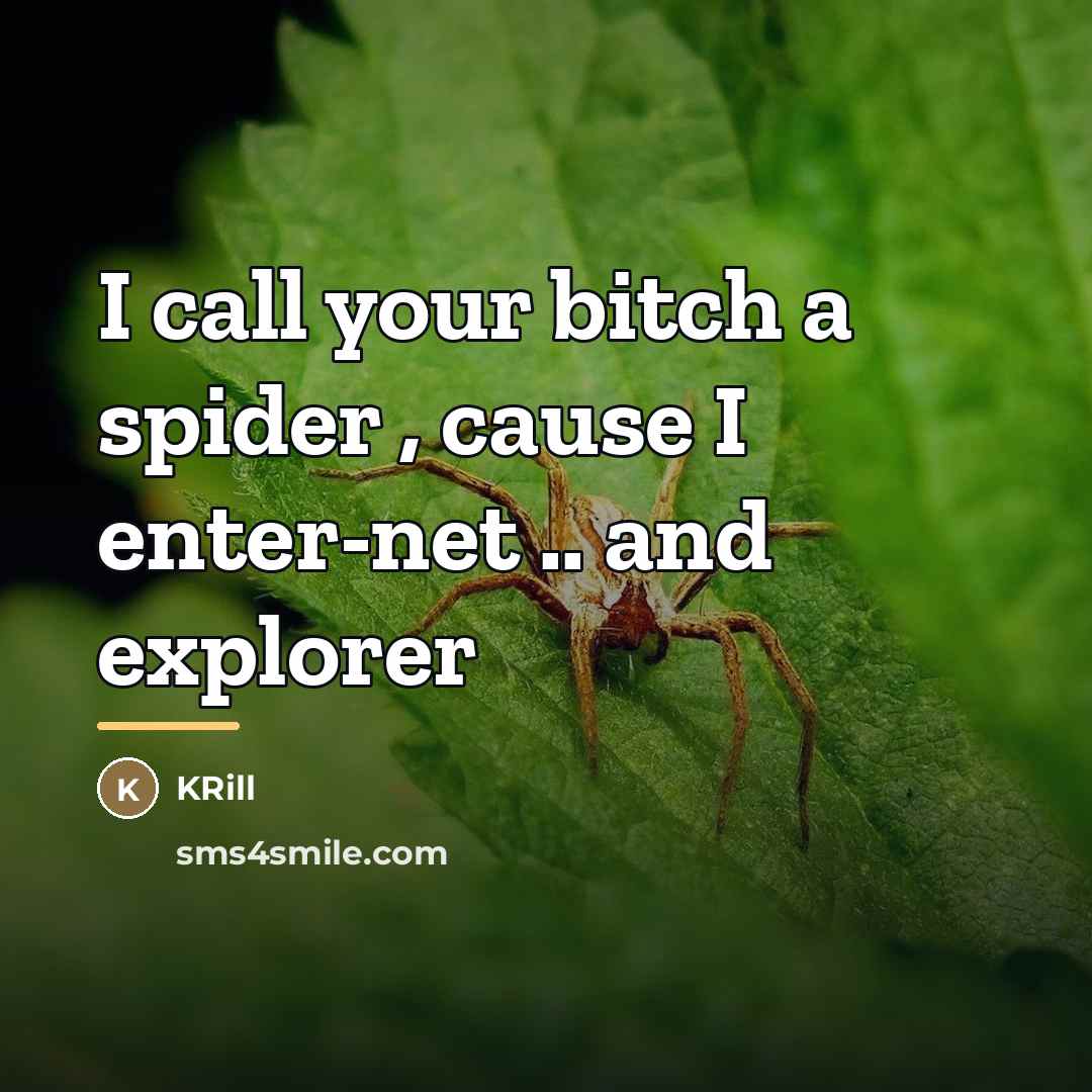 “I call your bitch a spider , cause I enter-net…” quote by KRill
