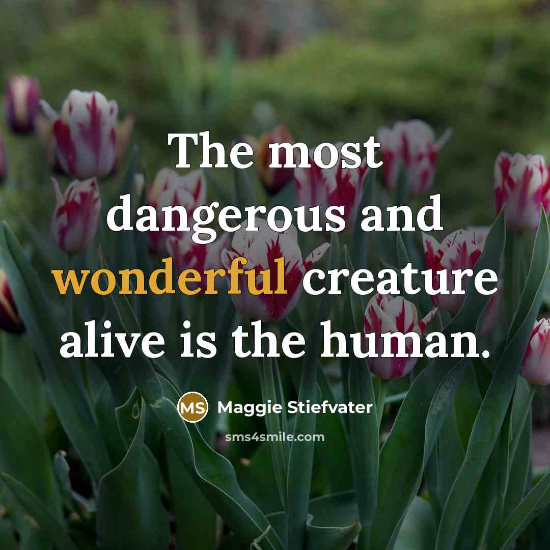 “The most dangerous and wonderful creature alive is the human.…” quote by Maggie Stiefvater