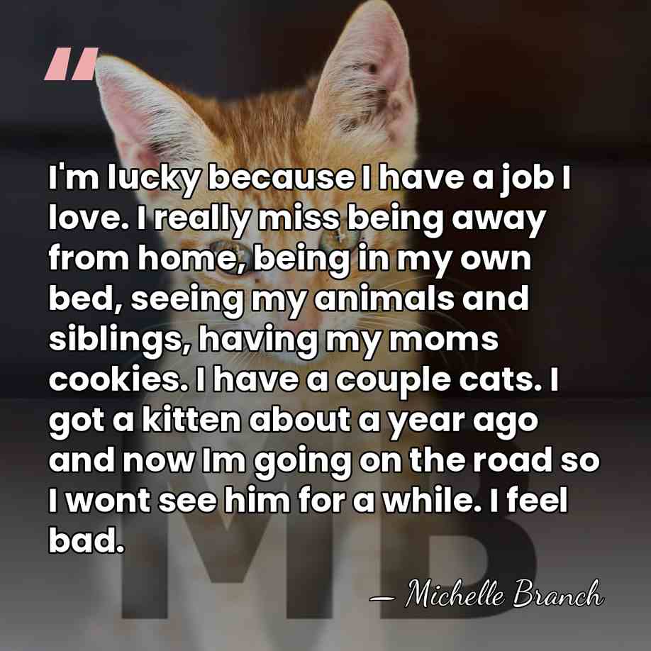 I'm lucky because I have a job I love. I really miss&hellip; - Michelle Branch