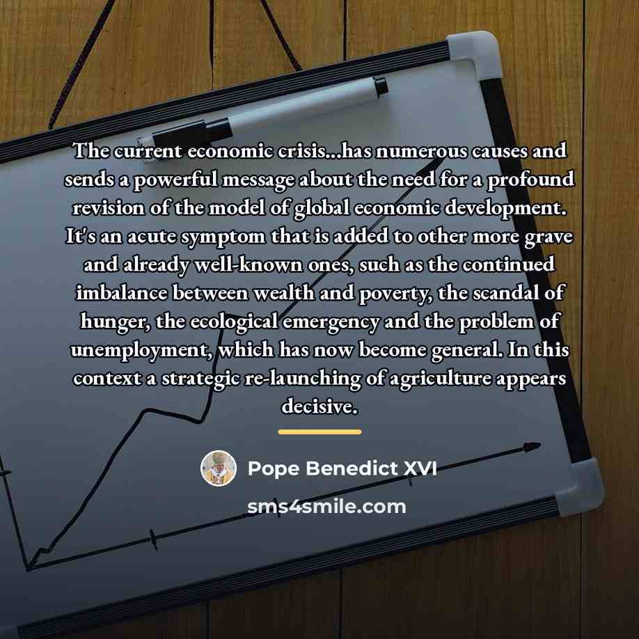 “The current economic crisis...has numerous causes and sends a powerful…” quote by Pope Benedict XVI