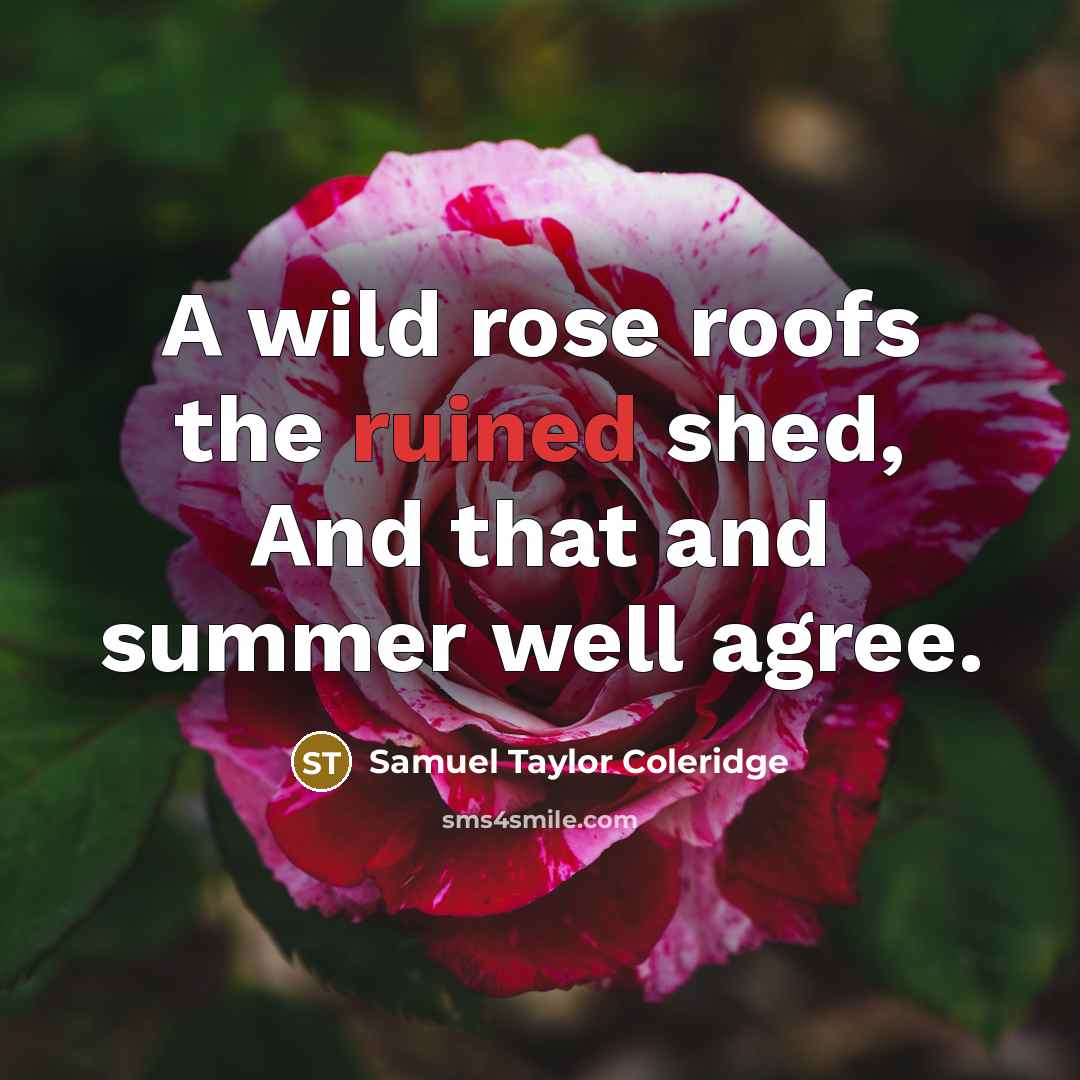 “A wild rose roofs the ruined shed, And that and…” quote by Samuel Taylor Coleridge