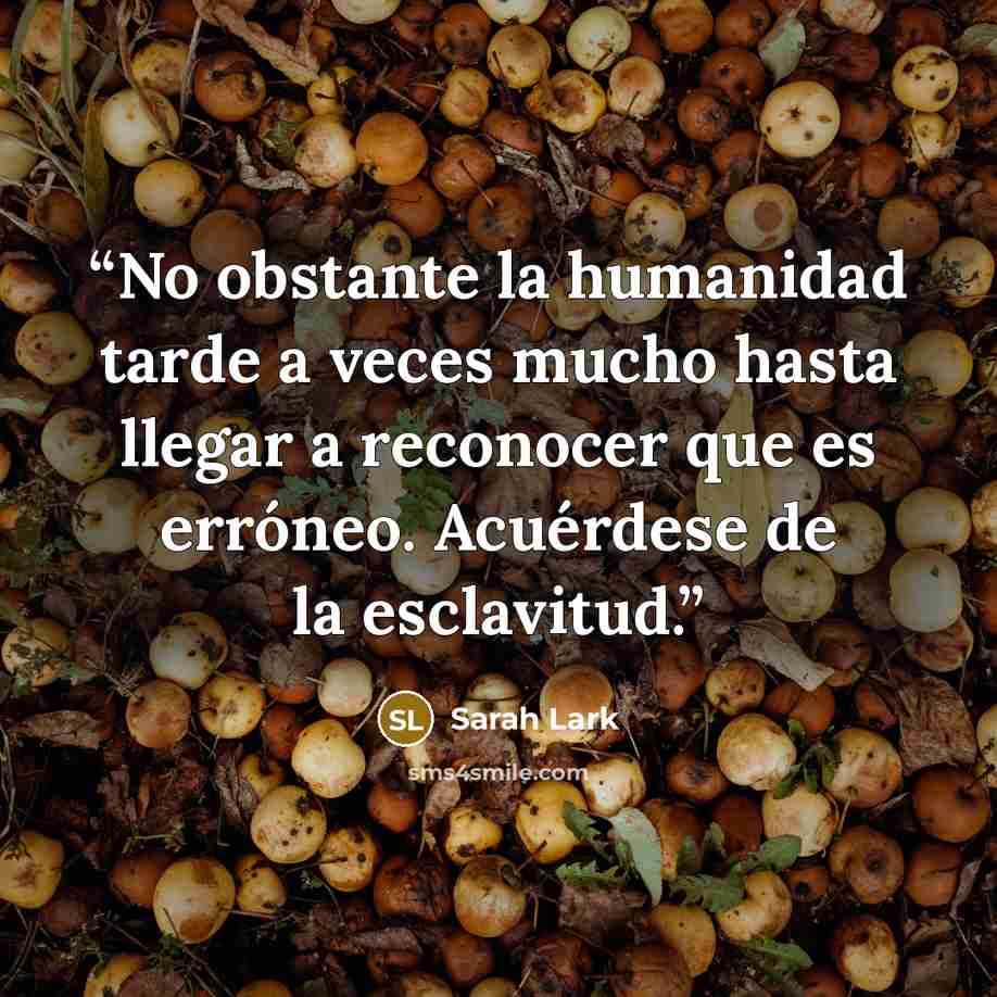 “No obstante la humanidad tarde a veces mucho hasta llegar a reconocer que es erróneo. Acuérdese de la esclavitud.” quote by Sarah Lark