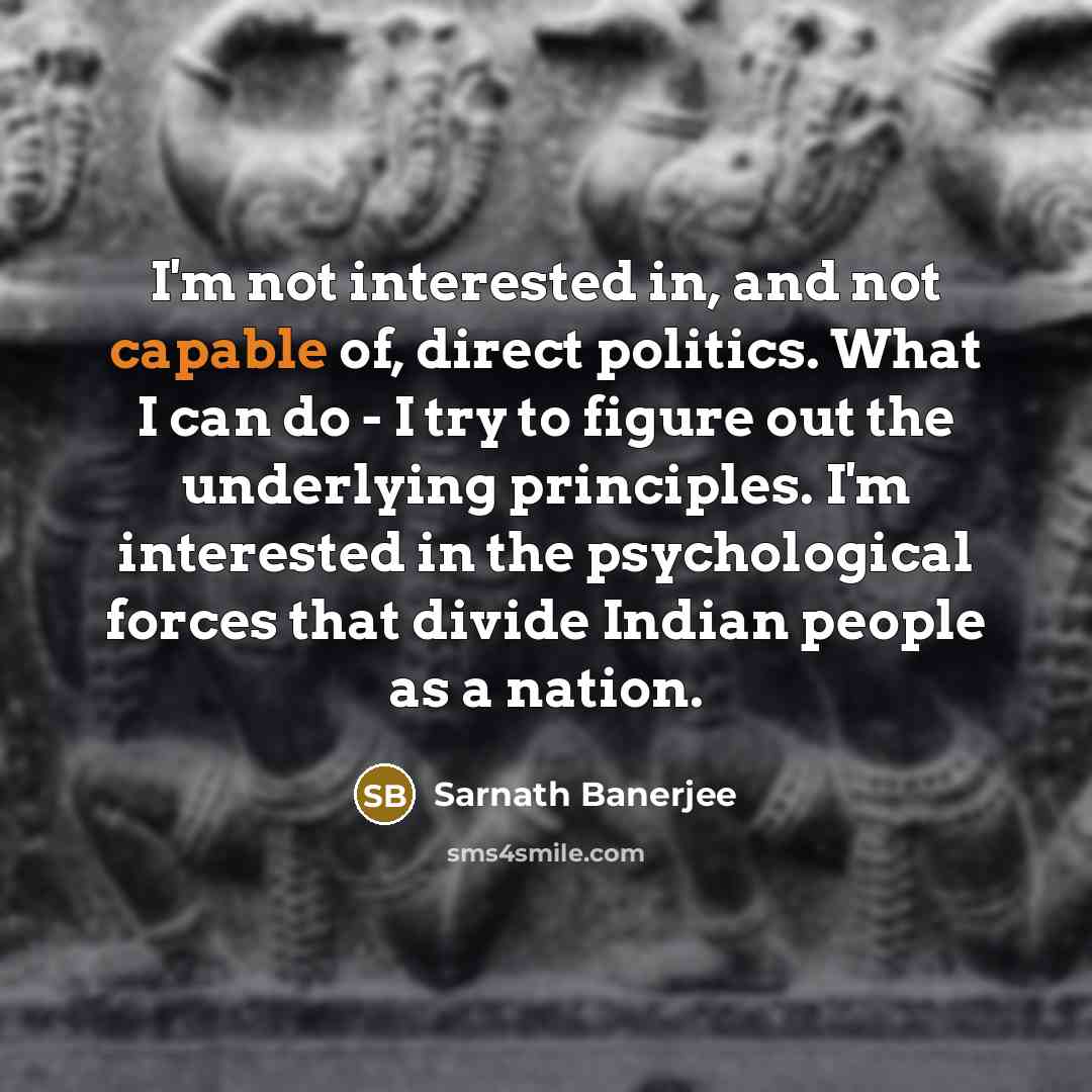 “I'm not interested in, and not capable of, direct politics.…” quote by Sarnath Banerjee