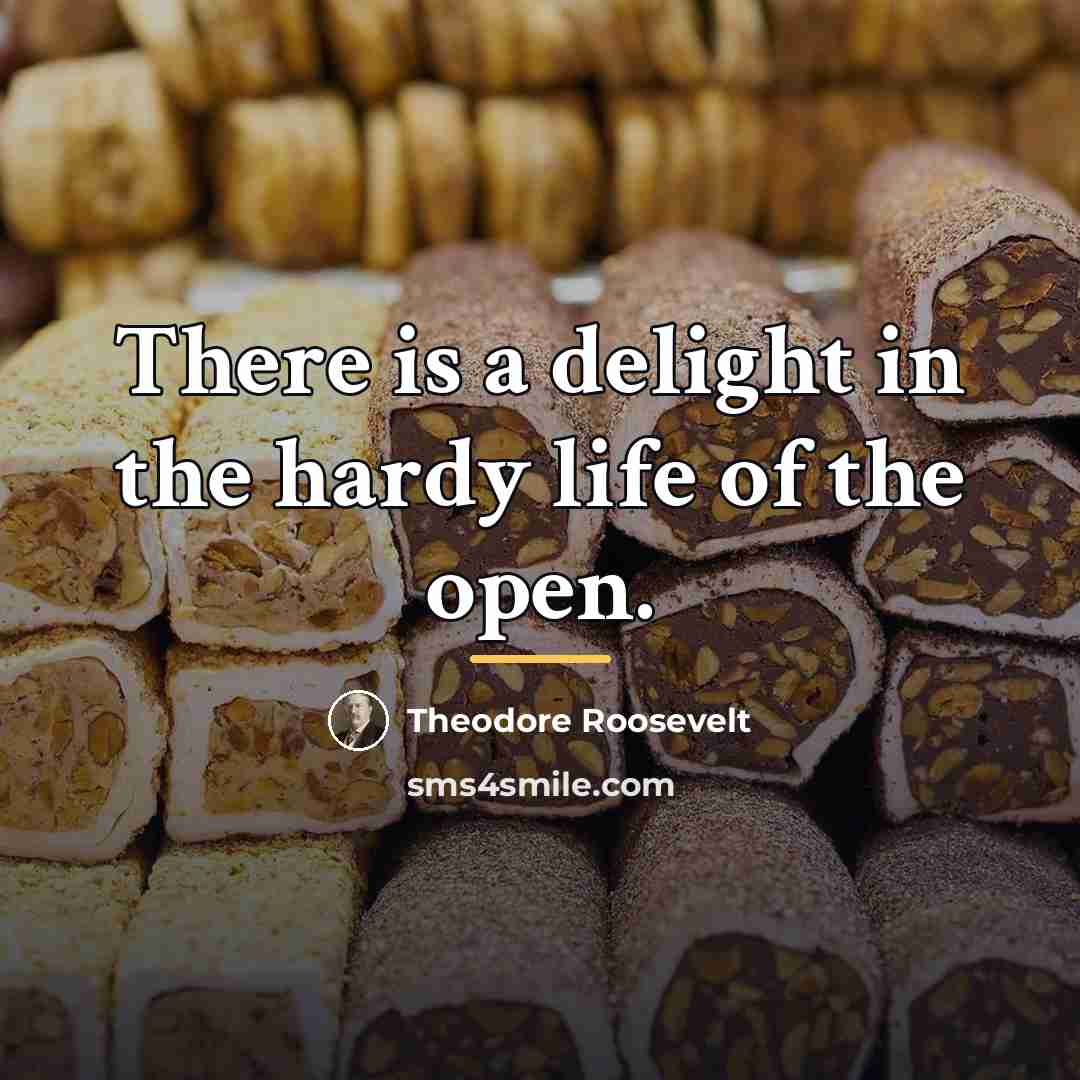 “There is a delight in the hardy life of the…” quote by Theodore Roosevelt