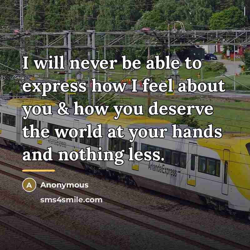 “I will never be able to express how I feel…” quote by Anonymous