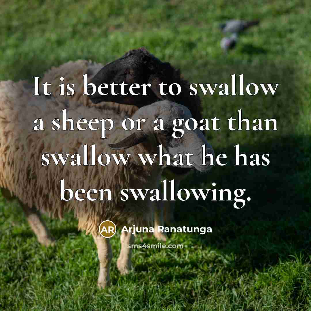 “It is better to swallow a sheep or a goat…” quote by Arjuna Ranatunga