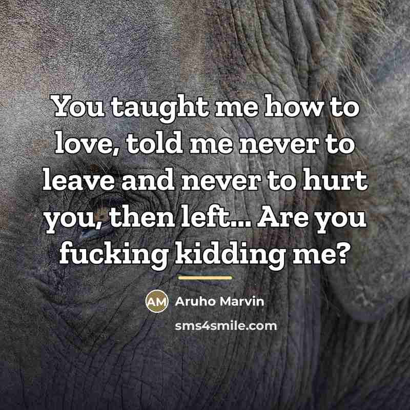 “You taught me how to love, told me never to…” quote by Aruho Marvin